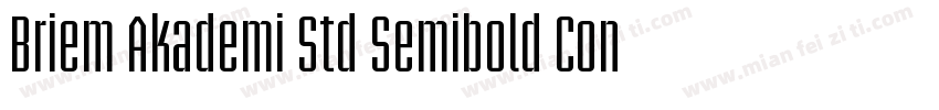 Briem Akademi Std Semibold Cond字体转换